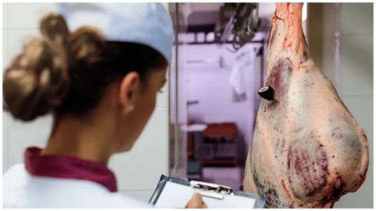 Meat industry visibility creating more opportunities for women, report finds