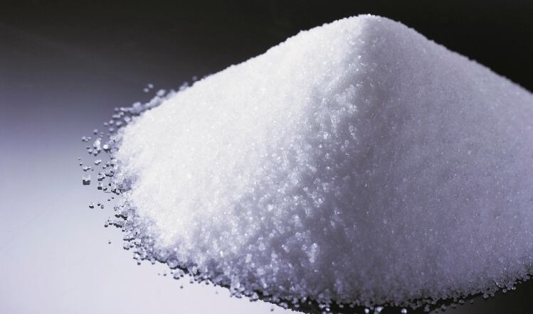High fat, salt and sugar foods in the spotlight