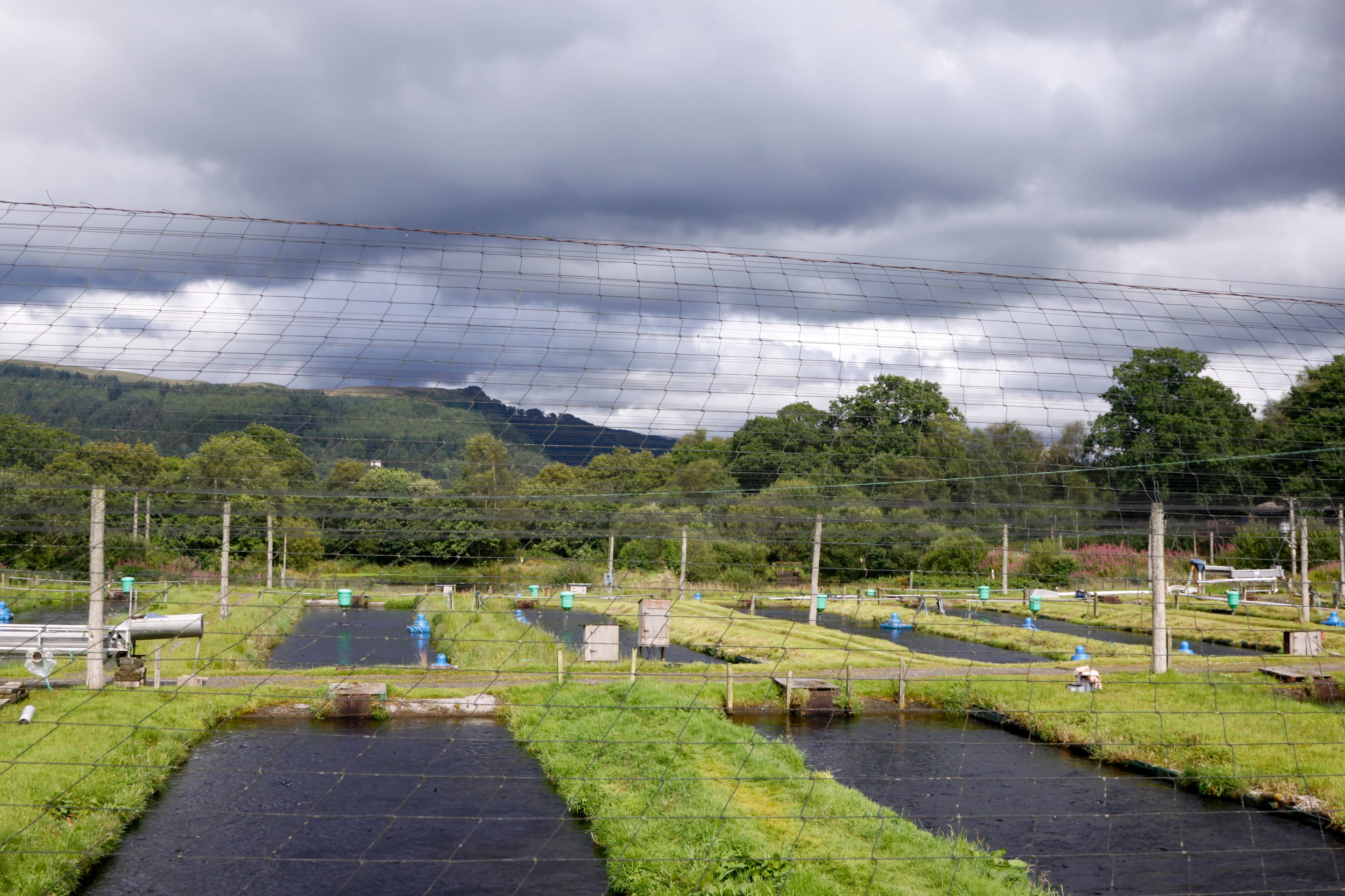 A land-based salmon farm