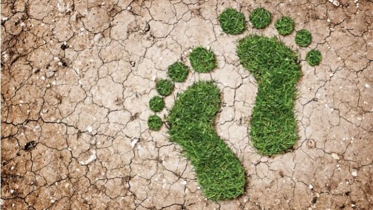 The Compleat Food Group has 2040 net zero goal validated by SBTi