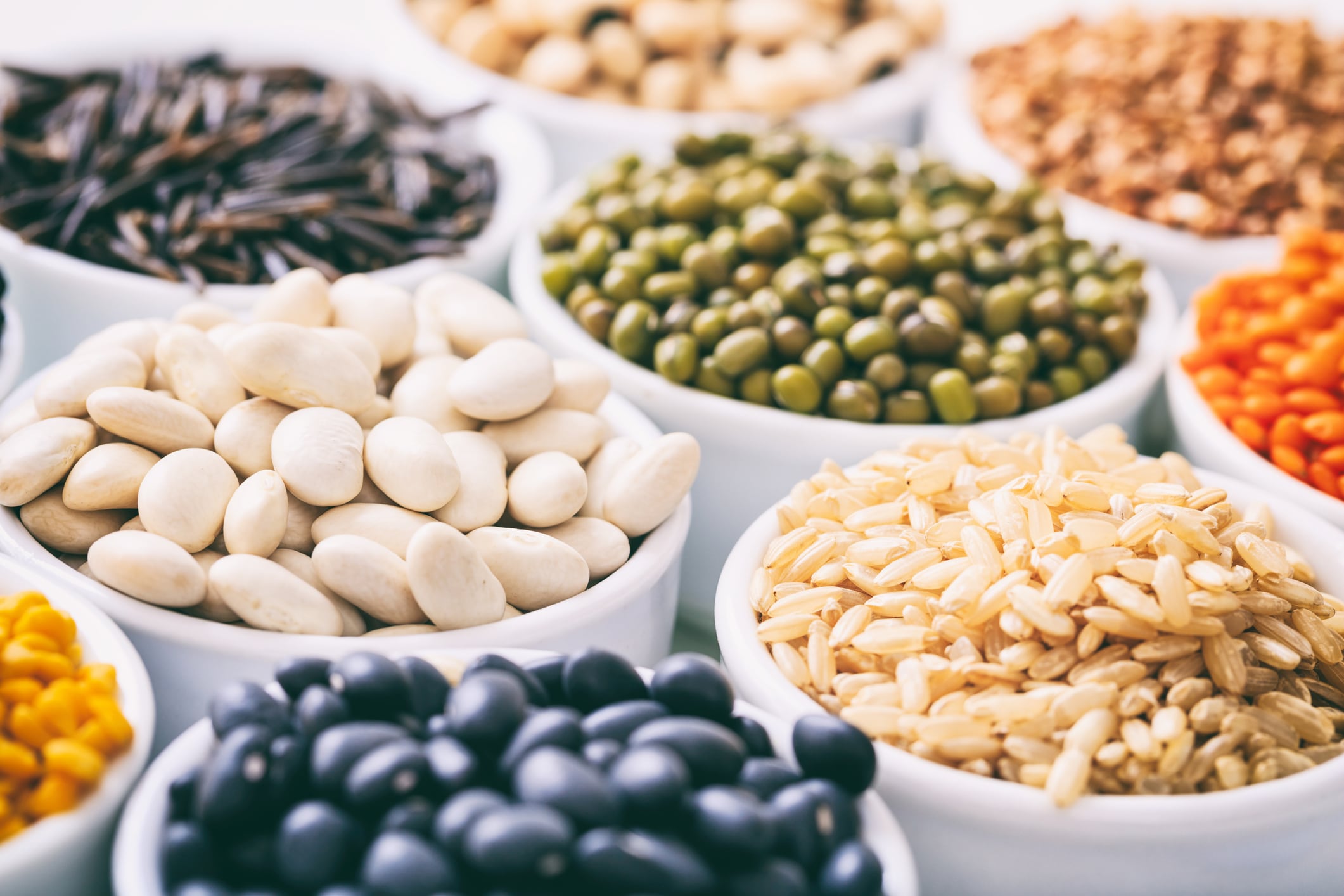 The report pointed to pulses and legumes as healthy alternatives to meat and dairy.