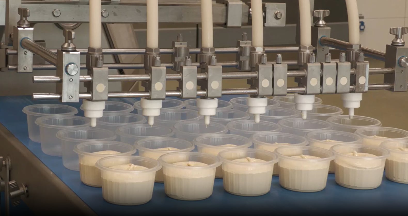 Depositing hummus in a food manufacturing plant