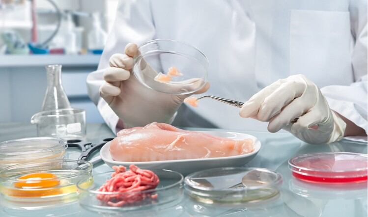 Technology downplayed in food safety