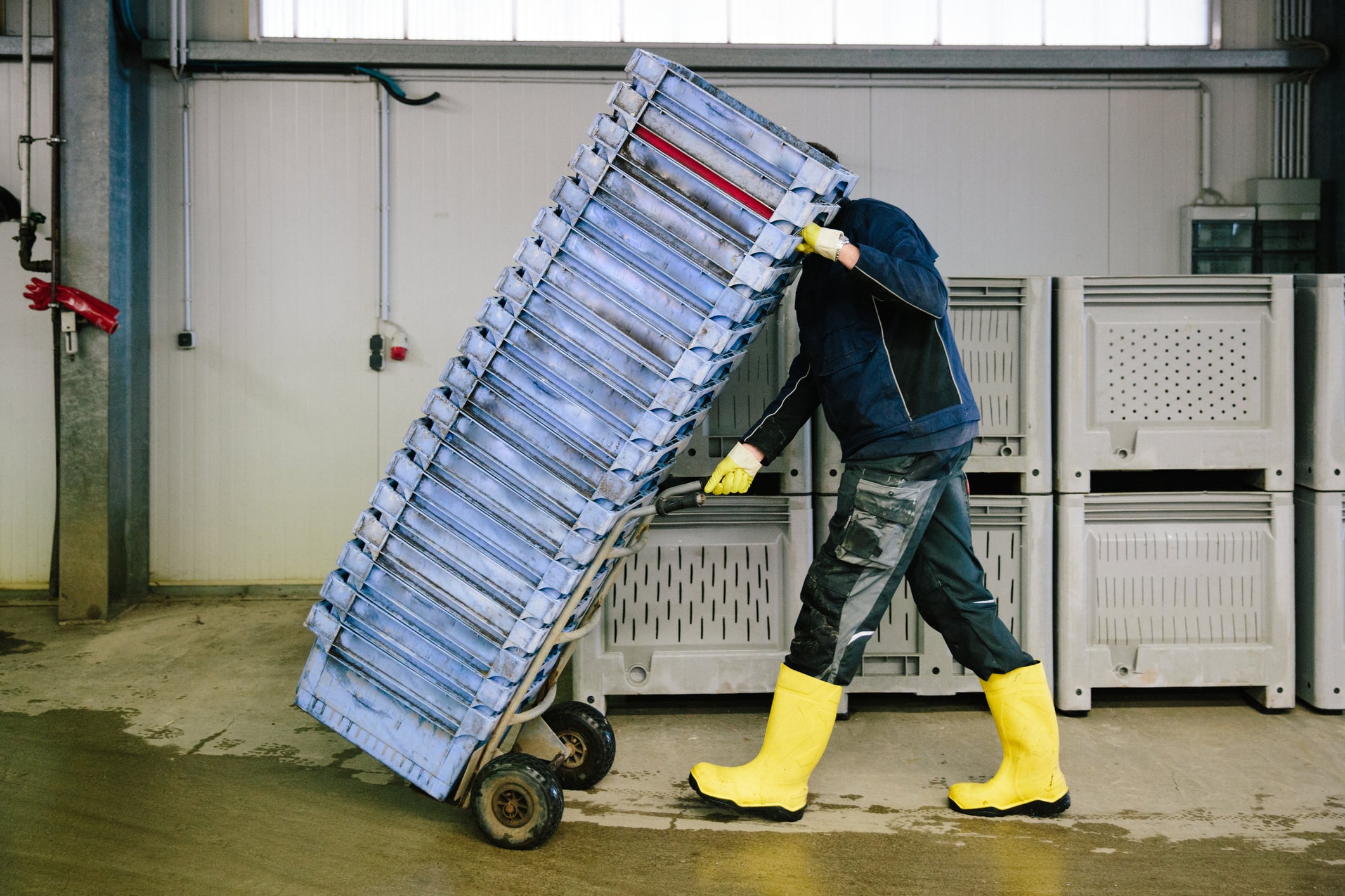 Unite secures recognition for members at UK cold storage site