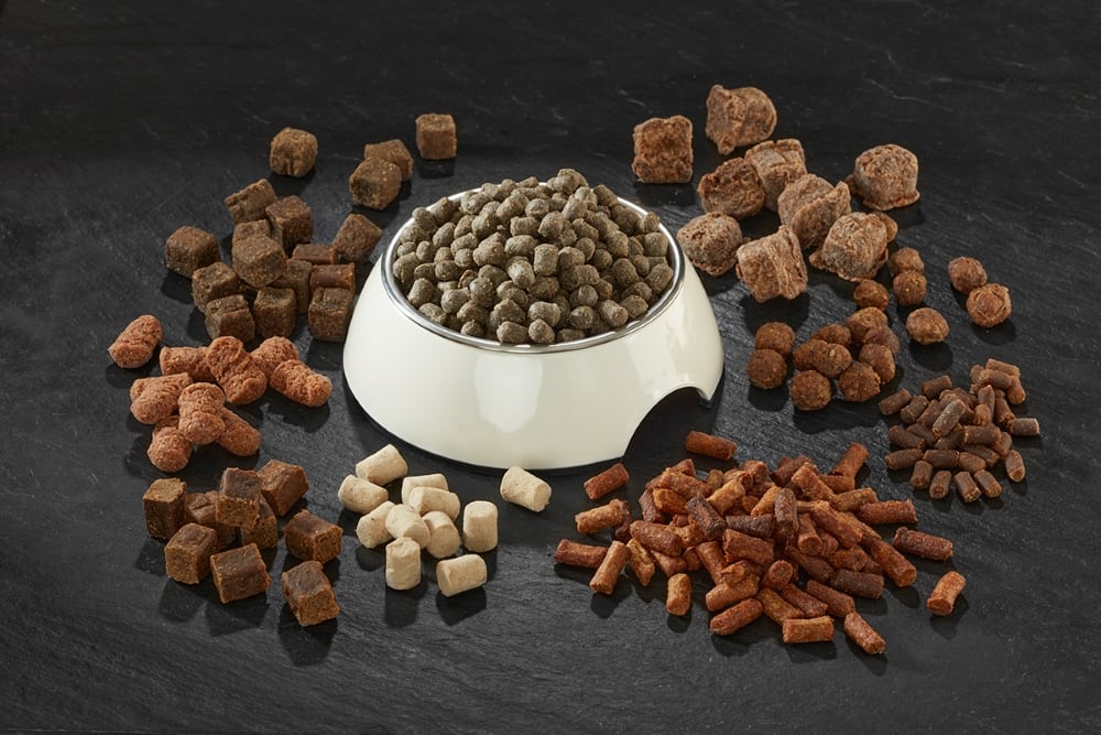Petfood-chewy-treats-and-snacks-resized.jpg