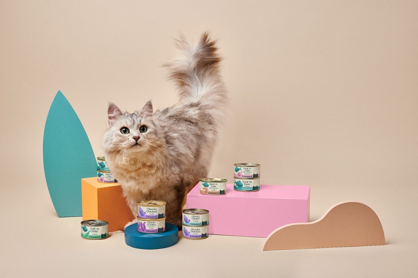 Untamed secures £10 million investment in latest funding round