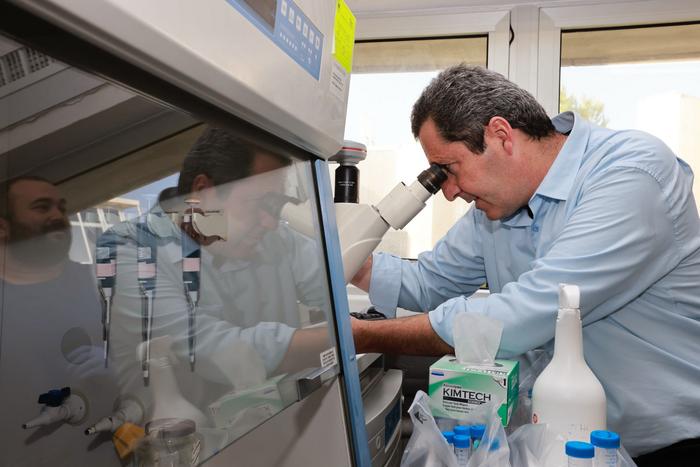 Cultivated meat 'breakthrough' addresses scalability challenges