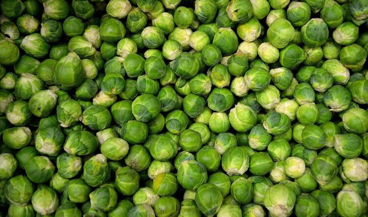 Brits waste 130m sprouts at Christmas