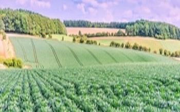 DEFRA appoints chair to head review into labour shortages