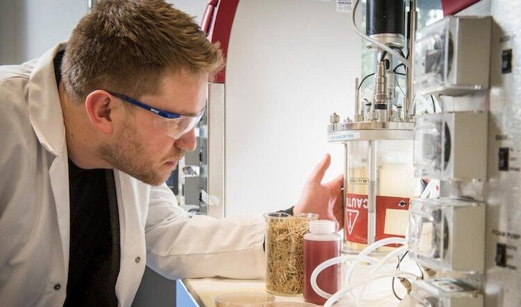 Lab-grow alternative to palm oil in development 