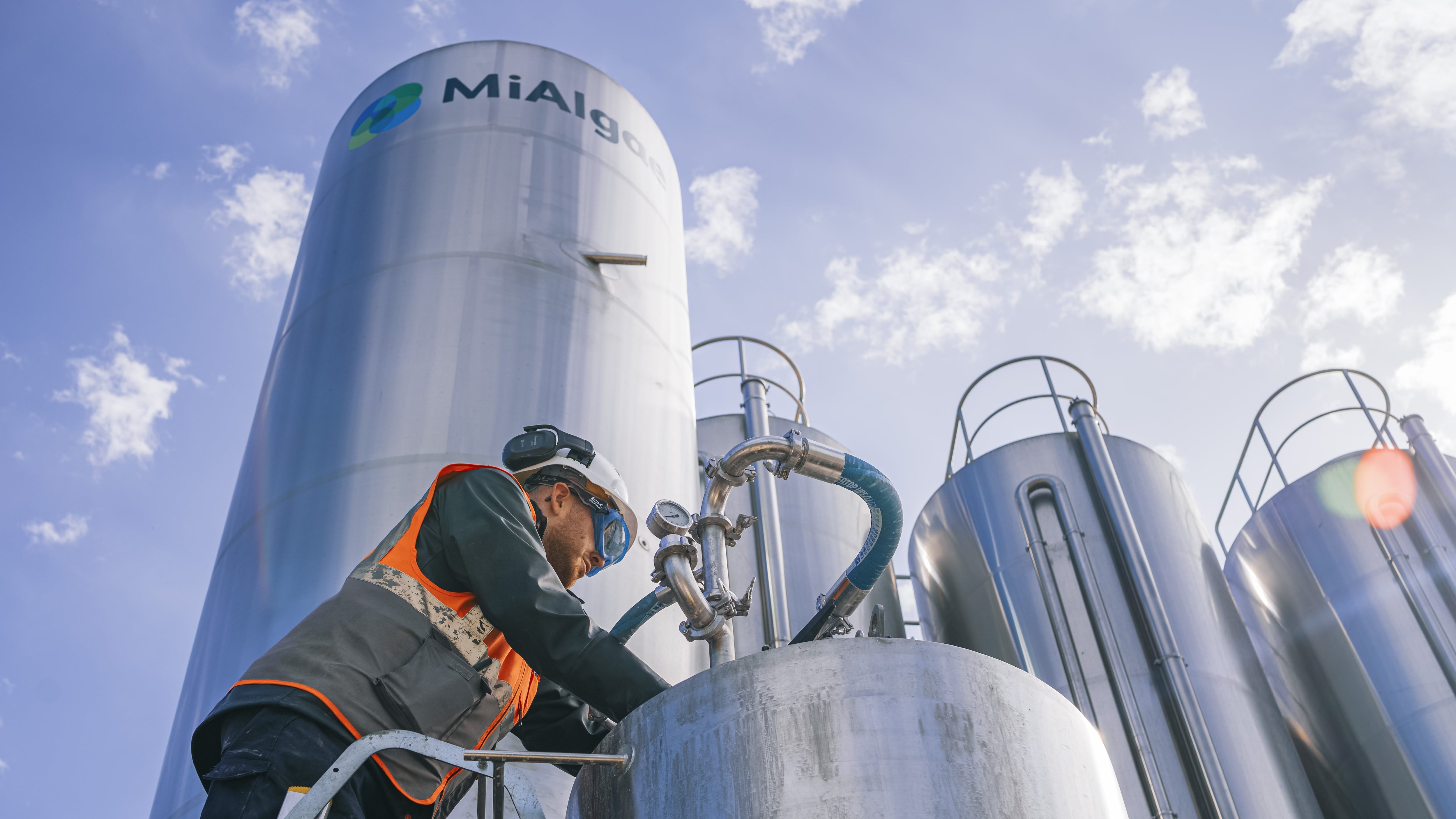 Eden Mill turns whisky waste into sustainable source of Omega-3