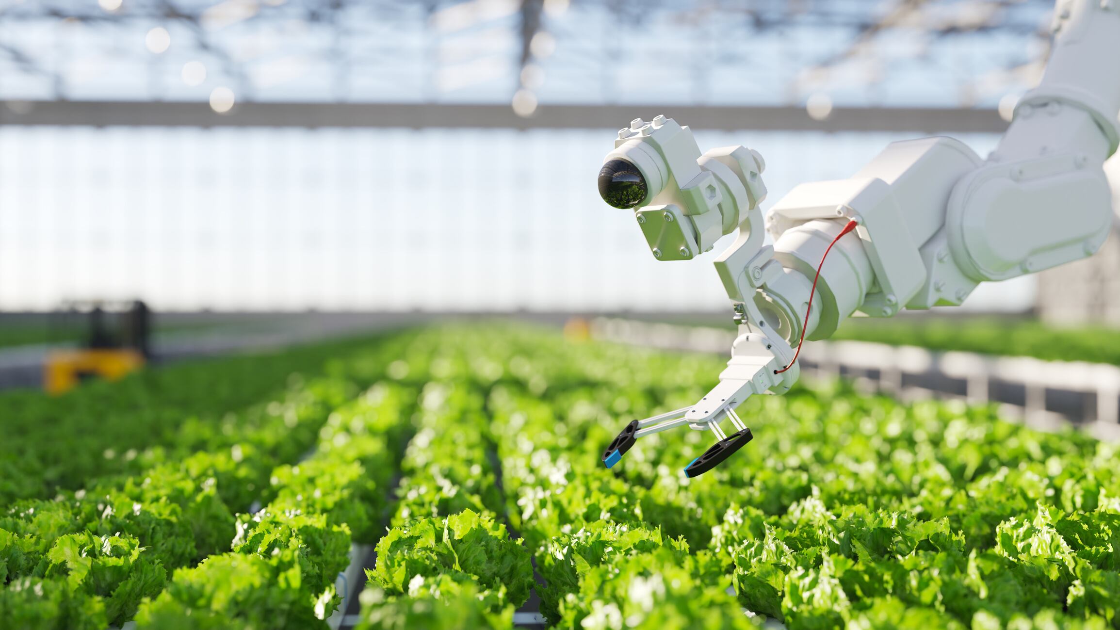 Agritech start-ups to benefit from EIT Food Entrepreneurship Programmes
