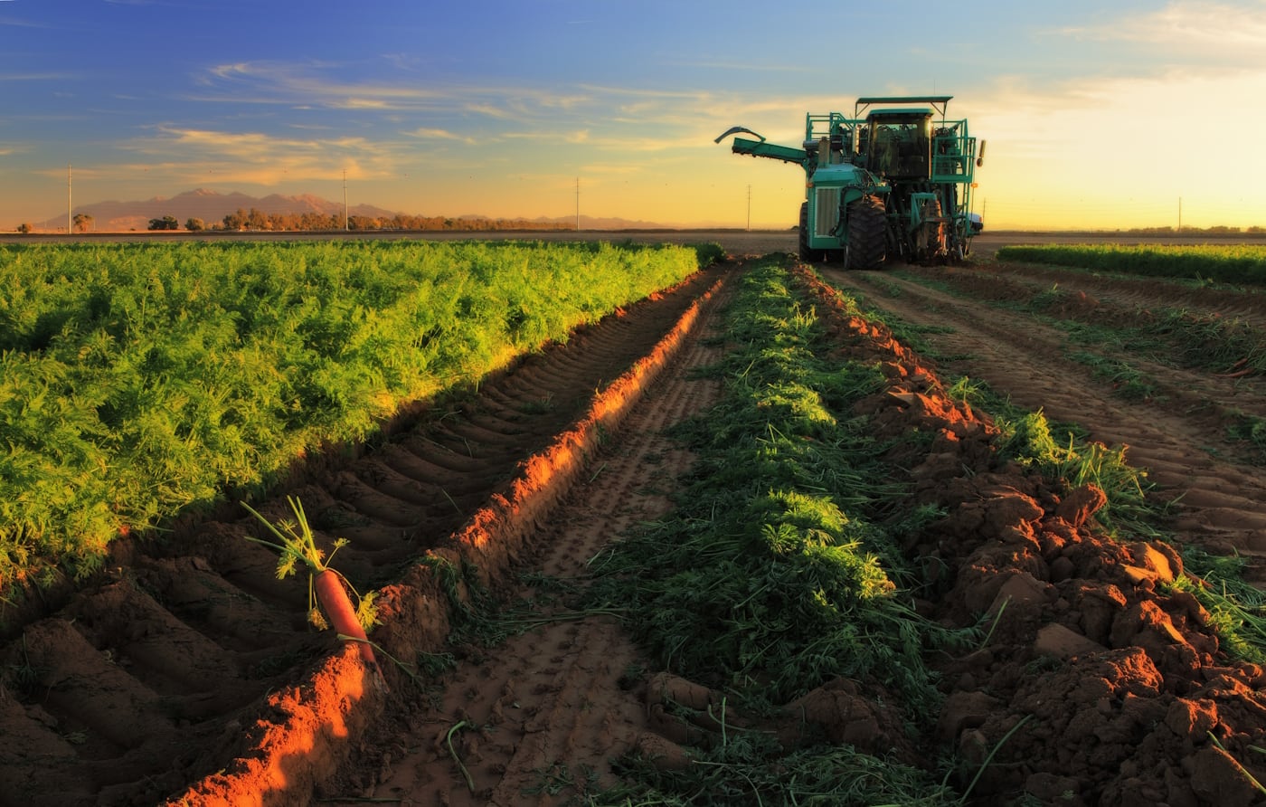 EU farming: stringent health and safety standars