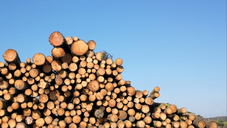 EU proposes delay to anti-deforestation regulation