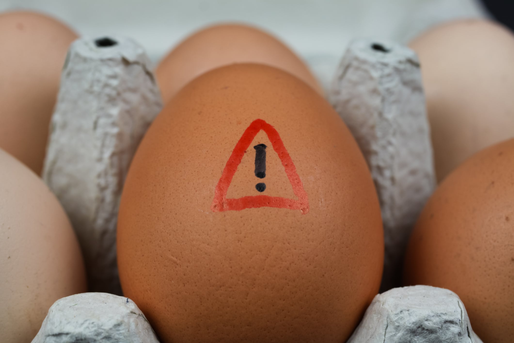 Food industry welcomes imported egg warning
