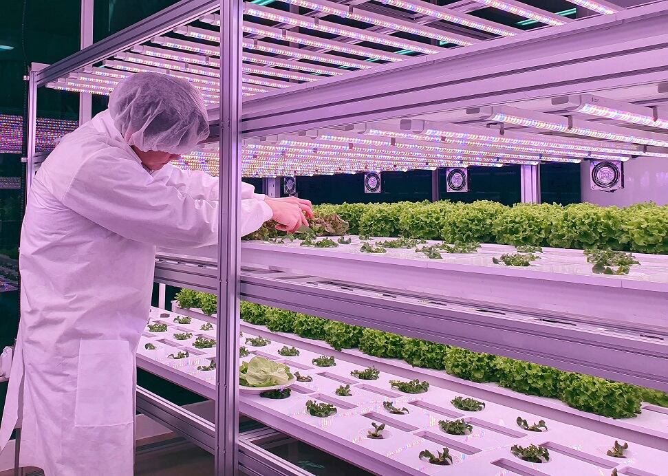 GrowPura-trials-and-system.jpg