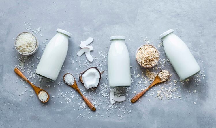 Meadow Foods invests £4m in plant-based production 