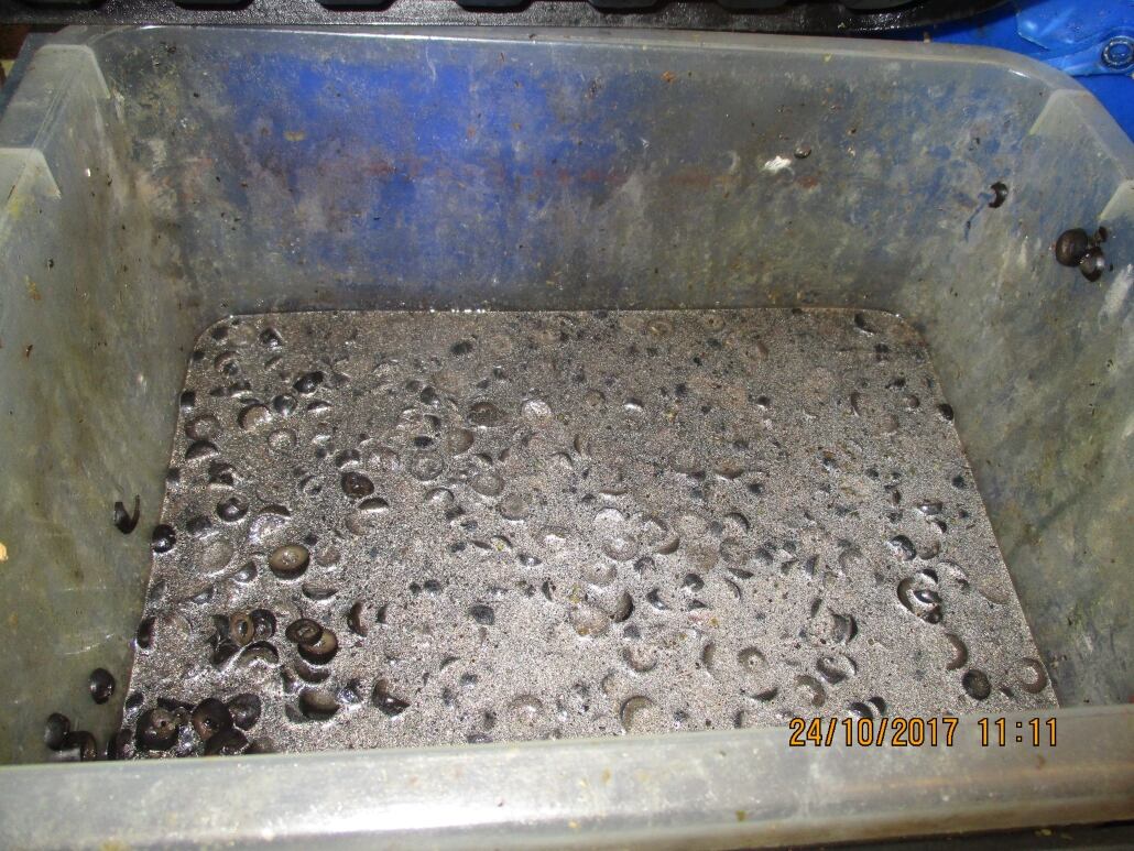 Fermenting-olives.jpg