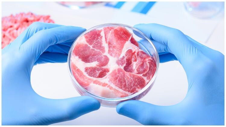 Cultivated innovation: meeting rising global protein demand