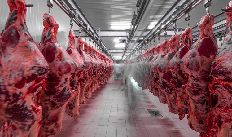For the chop: mounting pressures in the UK abattoir sector