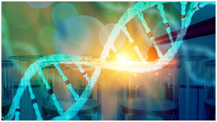 Leveraging genomics in microbial risk management