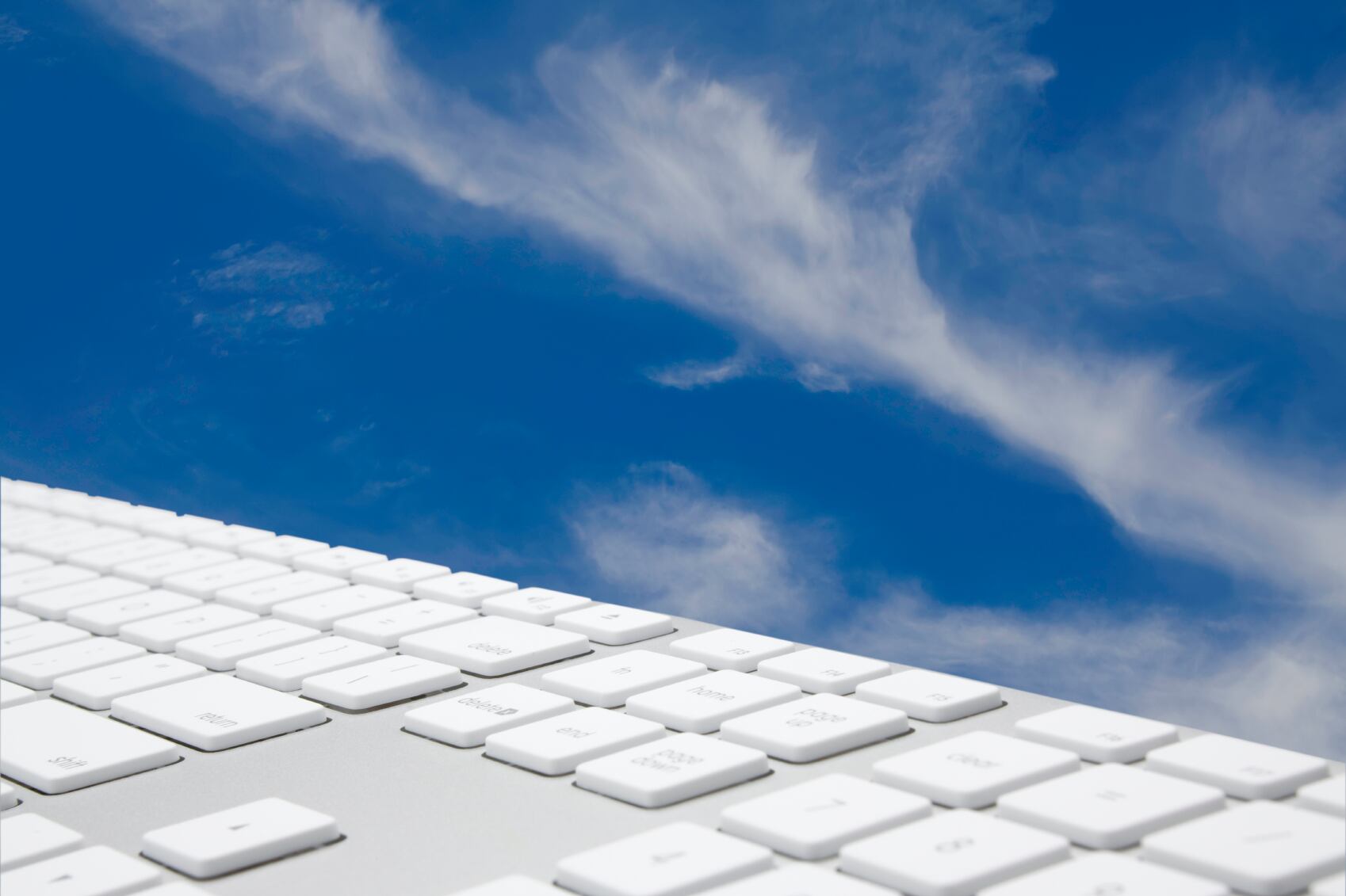 Bakery processing: are the robots ready to replace us?