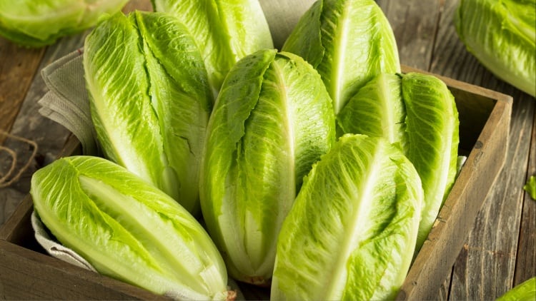 E.coli contamination risk linked to unrefrigerated lettuce