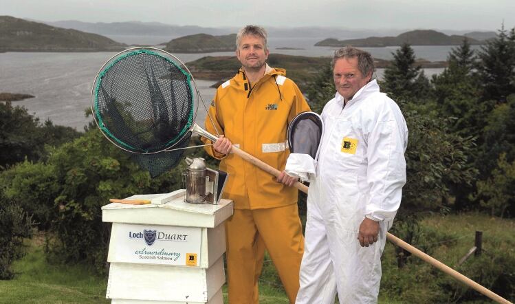 Scottish food firm helps dwindling bee population