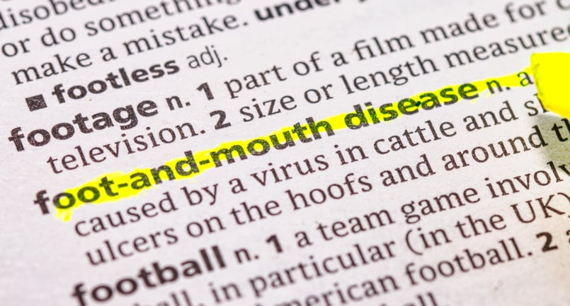 Germany Foot and Mouth outbreak: Defra apologises for communication failures
