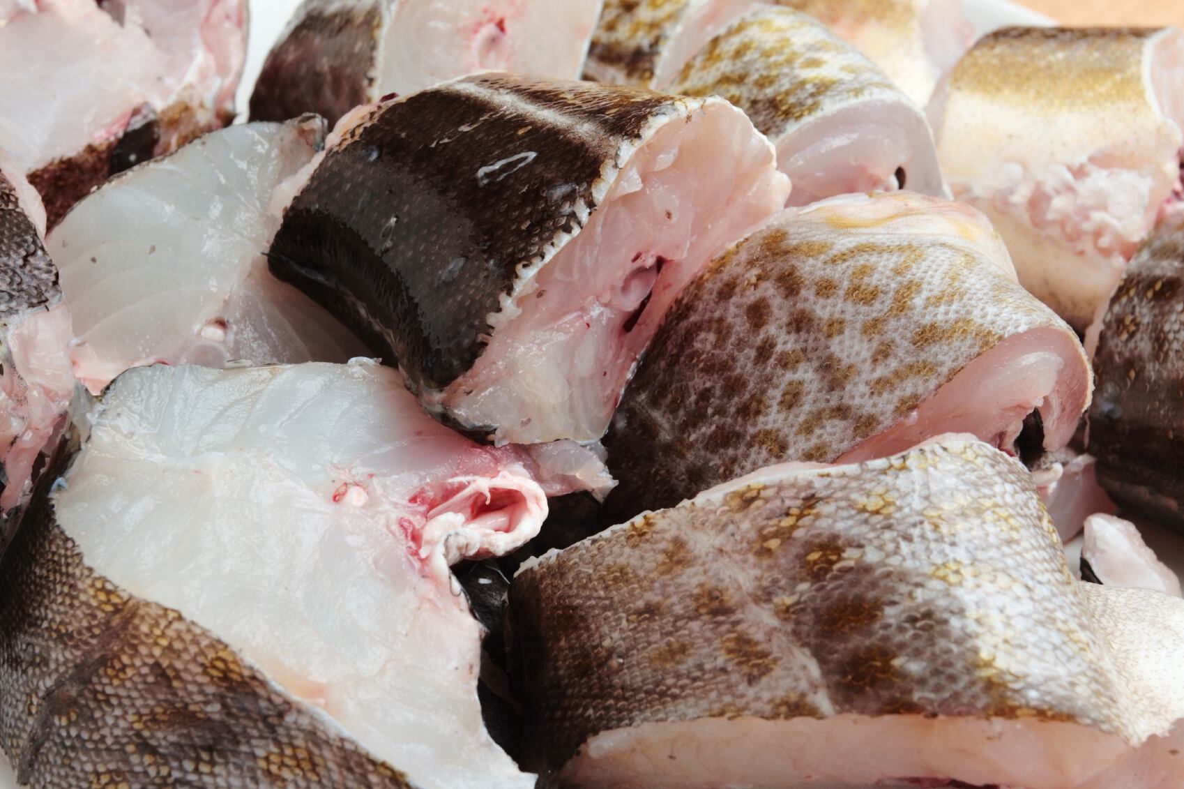 Climate change fears grow with MSC North Sea cod suspension