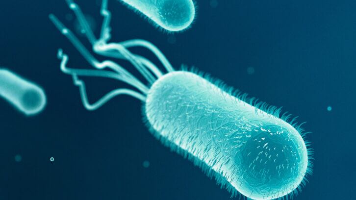 E.Coli outbreak leads to death