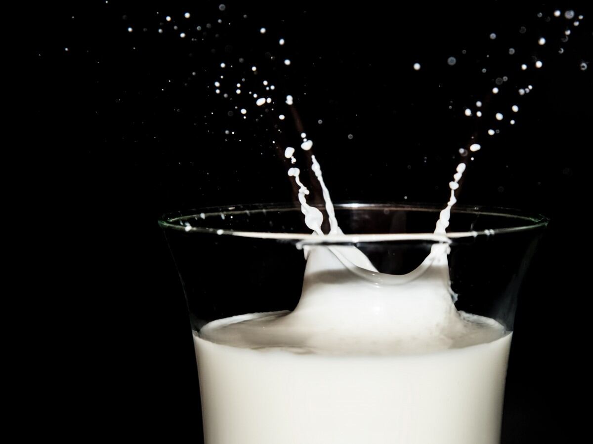McQueens Dairies expansion creates 100 jobs 