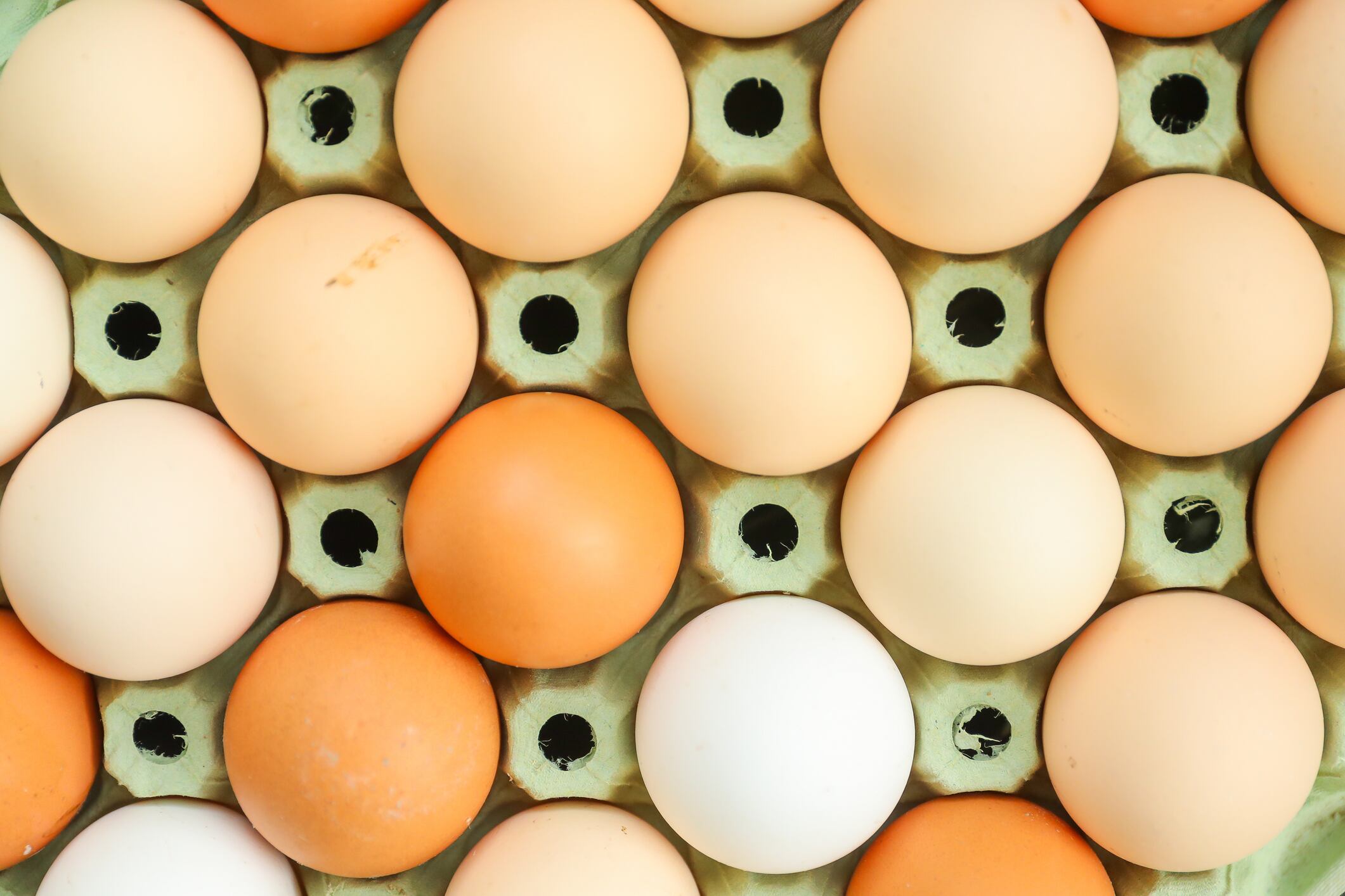 Pioneering the future of egg production with In OVO sexing technology