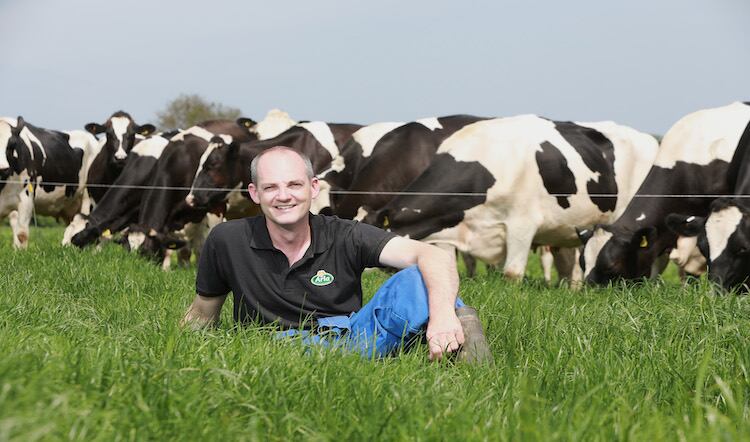 Aldi partners with Arla in £30m dairy farmer investment