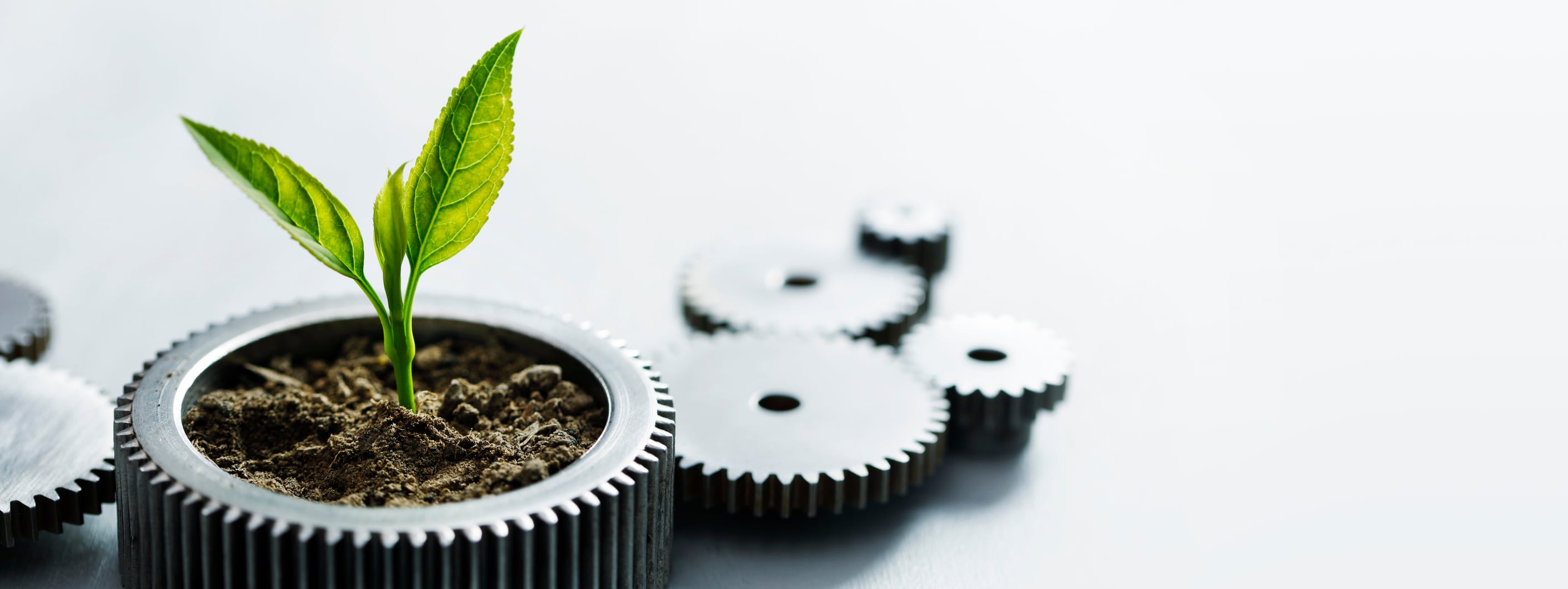 75% of major retailers blame poor strategy for lack of sustainability progress