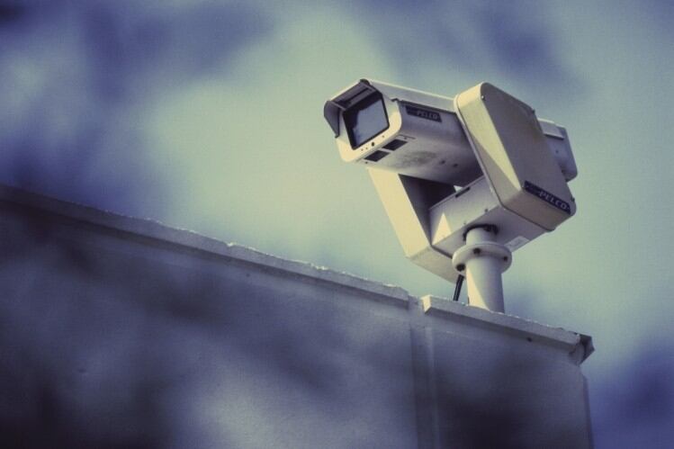 Consultation into mandatory CCTV in Welsh slaughterhouses