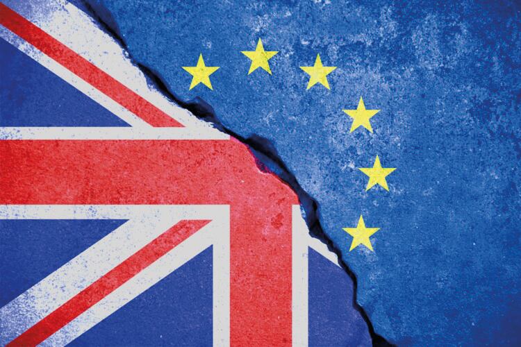 British food faces ‘outright export bans’ in wake of EU exit
