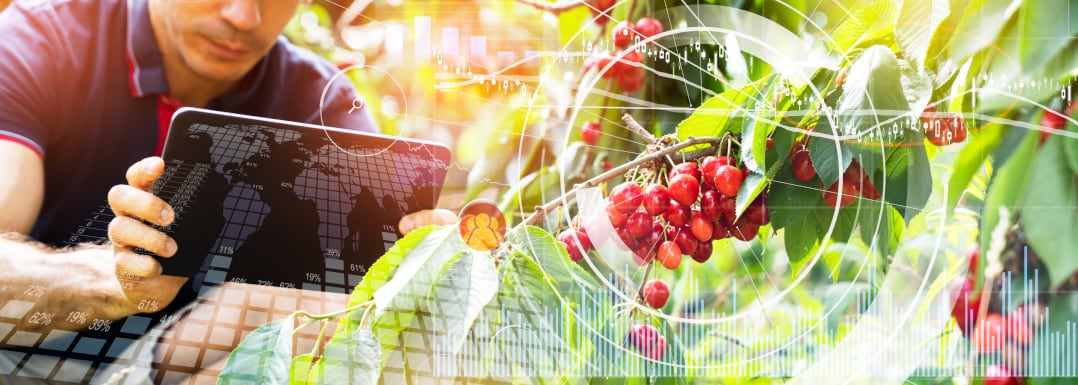 Food-manufacturing-challenges-harnessing-data-and-digital-tools-for-NPD.jpg