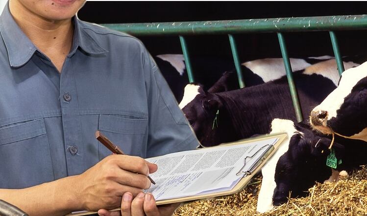 Meat processors help forge sustainable beef production group 