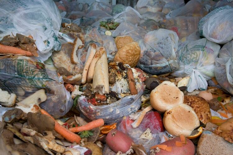 Businesses sign up to plan to halve waste