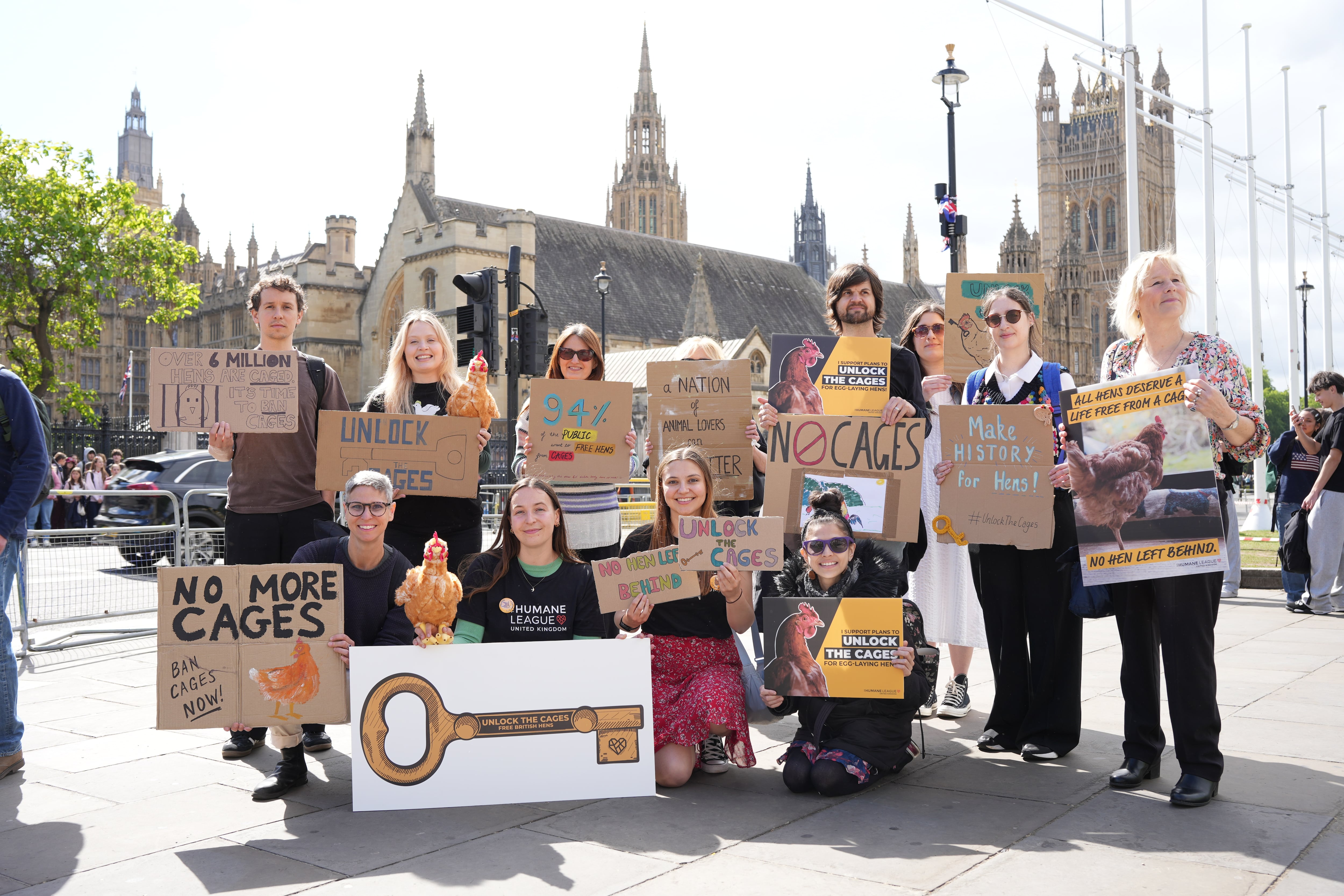 MPs join activists in calling for total ban on caged hens