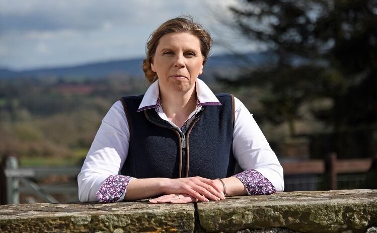 Future trade deal must not undermine Welsh meat: HCC 