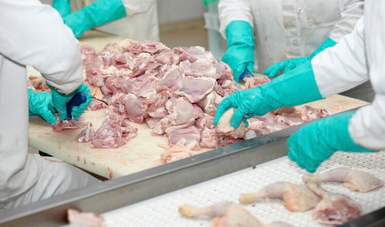 2 Sisters Food Group reaffirms committment to ‘best-in-class welfare standards’