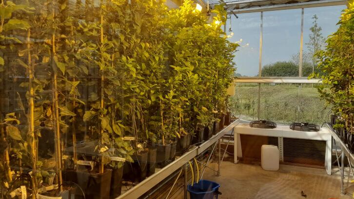 £1.6m awarded to sustainable food and drink innovators