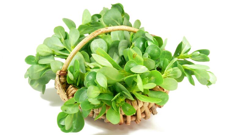 Frutarom-A-new-study-confirmed-the-anti-diabetic-properties-of-purslane-herb-extract.jpg