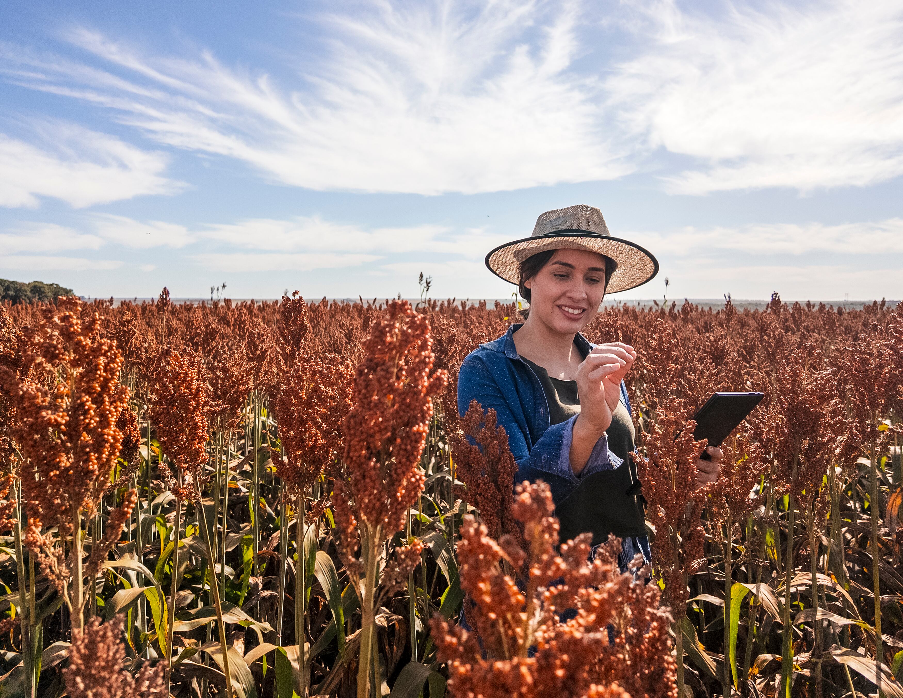 A woman in her 30s stands alone in the middle of a rural sorghum field during sunset, under a partly cloudy sky. She wears a cap and casual field clothing, and holds a digital tablet, appearing to take notes or collect agricultural data. The setting suggests a farm or countryside location, highlighting modern agricultural practices and crop monitoring. The light is warm and soft, capturing the transitional moment between day and evening in a peaceful rural landscape.