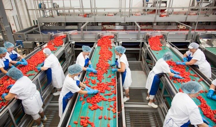 Canned-packaged-food-firm-signs-tomato-partnership.jpg