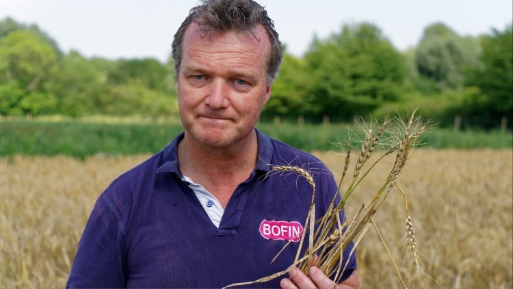 Gene editing: BOFIN trial leading the way for precision-bred crops in the UK