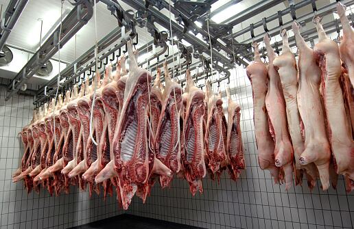 Food regulators agree terms of meat review