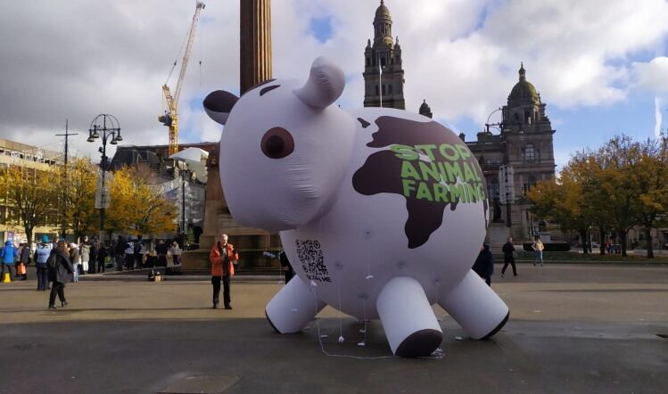 Government urged to shift to plant-based food system